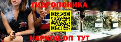 гашик Вязьма
