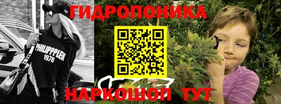гашик Вязьма