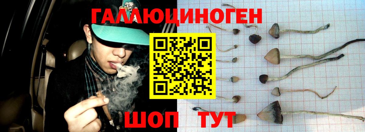 Псилоцибиновые грибы Magic Shrooms  Вход с VPN  купить наркотик  Галлюциногенные грибы Cubensis  Гуково 